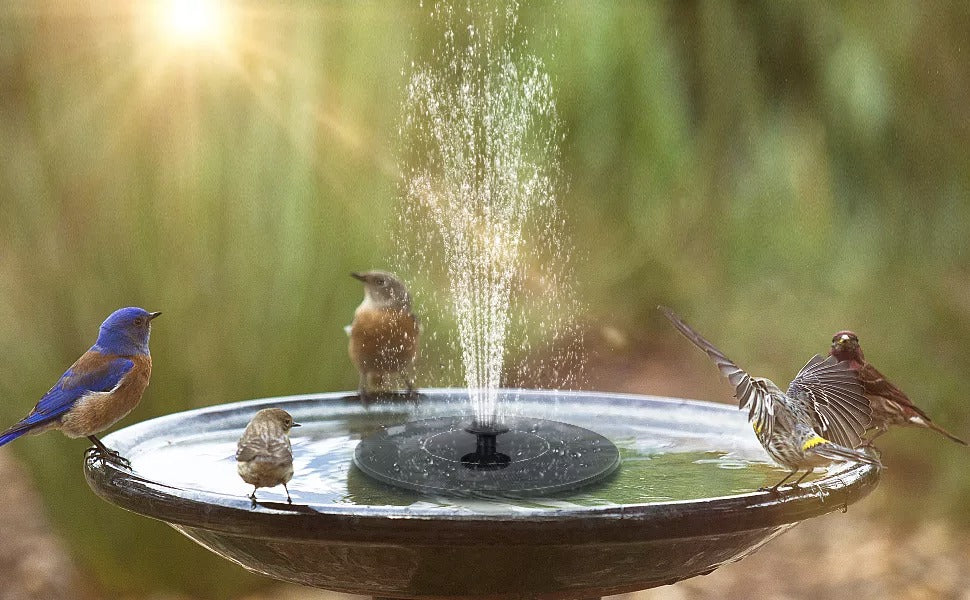 SolarFountain | Waterfontein op zonne-energie